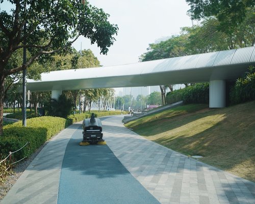A designated paved urban bike lane showing people casually cycling past green municipal spaces